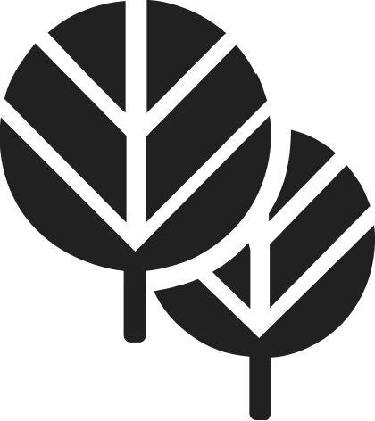 Scheidtmann Logo